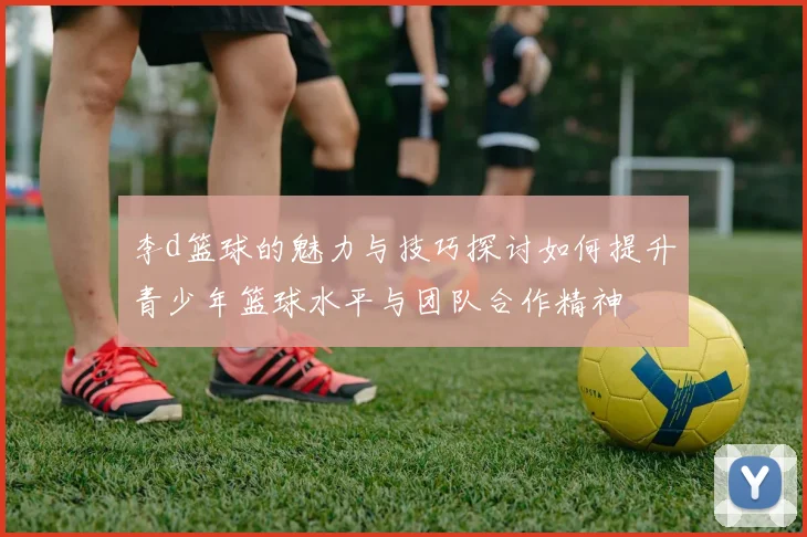 李d篮球的魅力与技巧探讨如何提升青少年篮球水平与团队合作精神